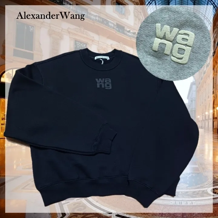 Alexander Wang  |U-Neck Long Sleeves Plain Cotton Logo Hoodies & Sweatshirts