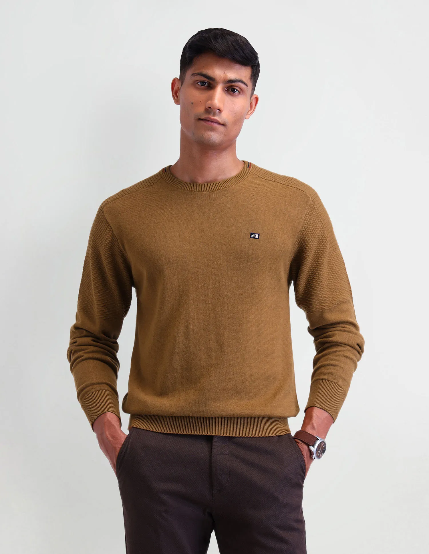 Arrow Sport Solid Cotton  Sweater