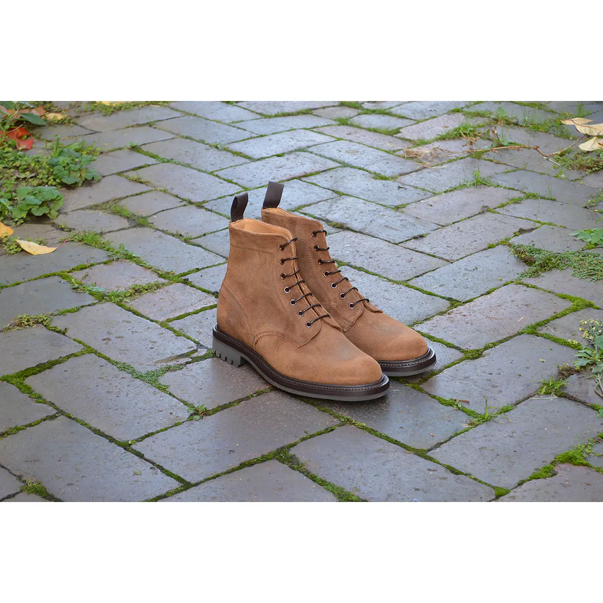 Sanders Kelso- Snuff Waxy Suede Derby Boot