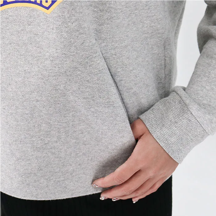 Weekend Max Mara  |Long Sleeves Cotton Logo Hoodies & Sweatshirts